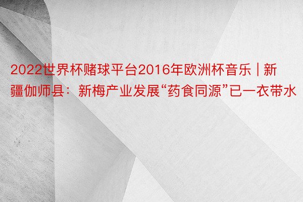 2022世界杯赌球平台2016年欧洲杯音乐 | 新疆伽师县：新梅产业发展“药食同源”已一衣带水