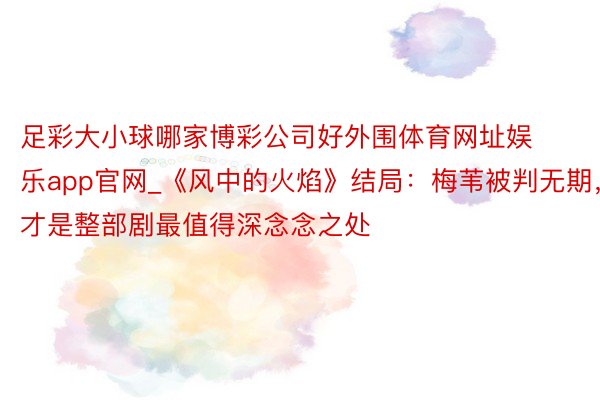 足彩大小球哪家博彩公司好外围体育网址娱乐app官网_《风中的火焰》结局：梅苇被判无期，才是整部剧最值得深念念之处